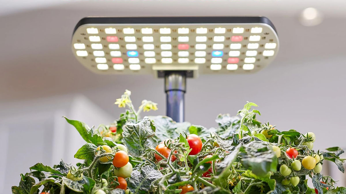 Aerogarden Makanda 2.0 Hydroponic System